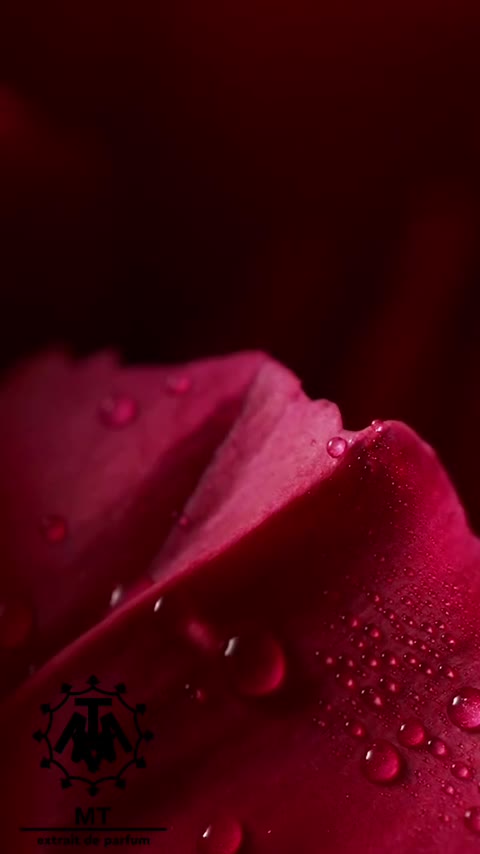 عطر وادکلن *هیپنوتیک پویزن* (ارسال رایگان)