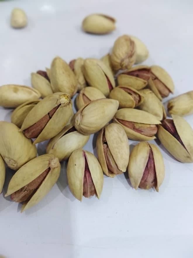 پسته بادامی