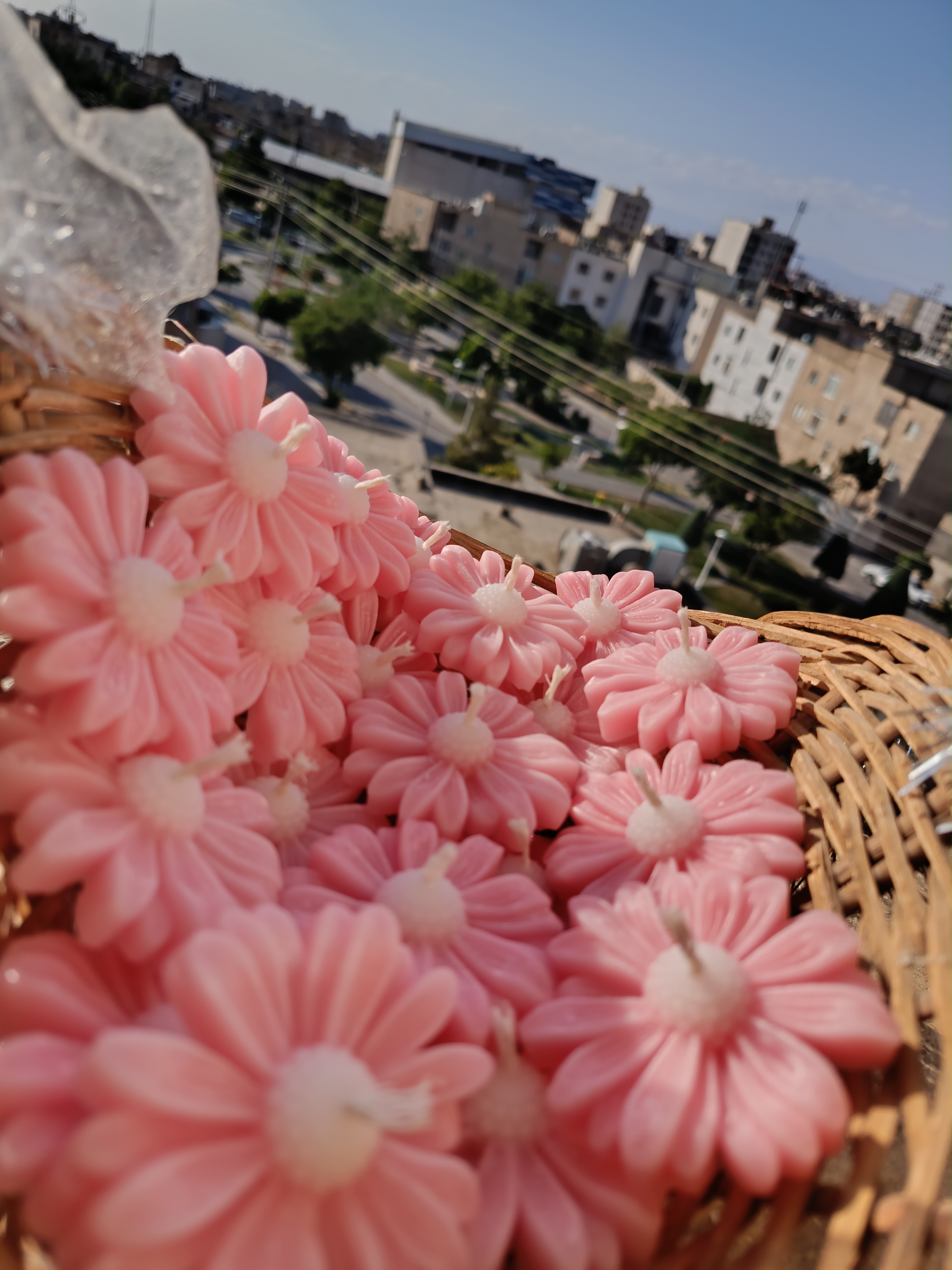 شمع بابونه