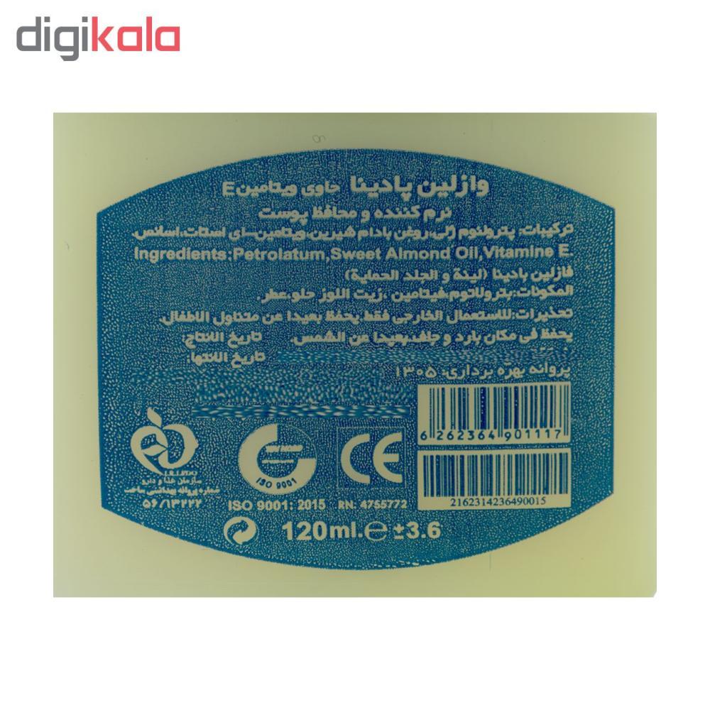 وازلین پادینا مدل Petroleum حجم 120 میلی لیتر