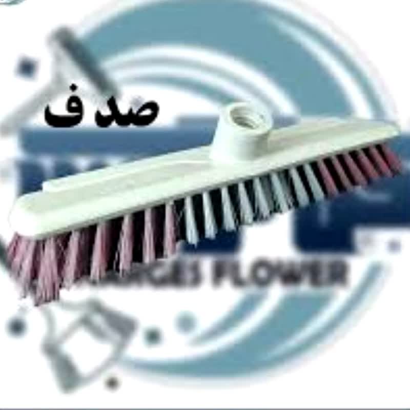 استخر شور