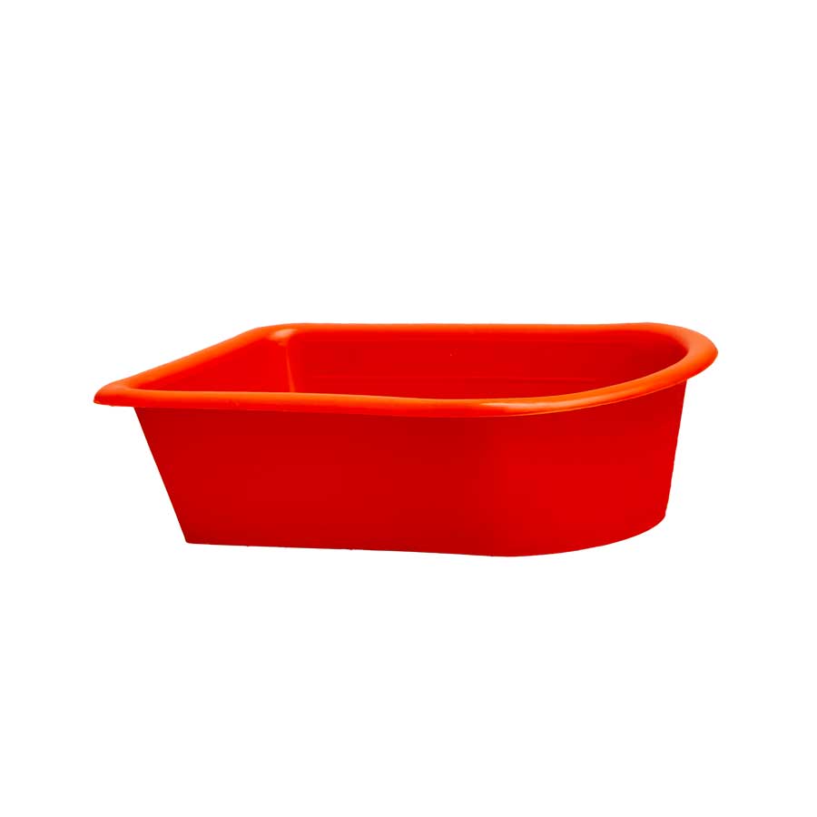 وان طوطی کوچک