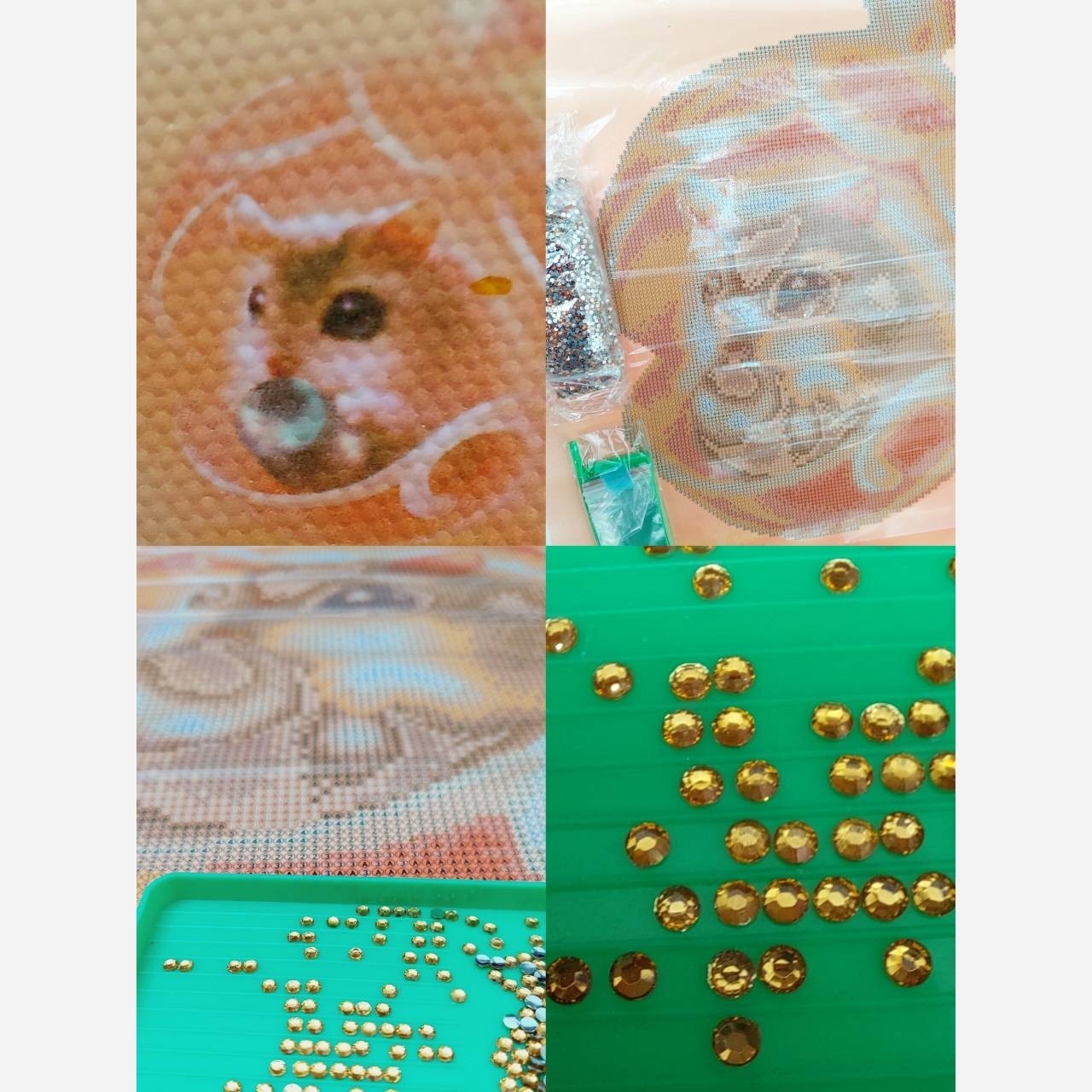 نقاشی الماسی سنجاب