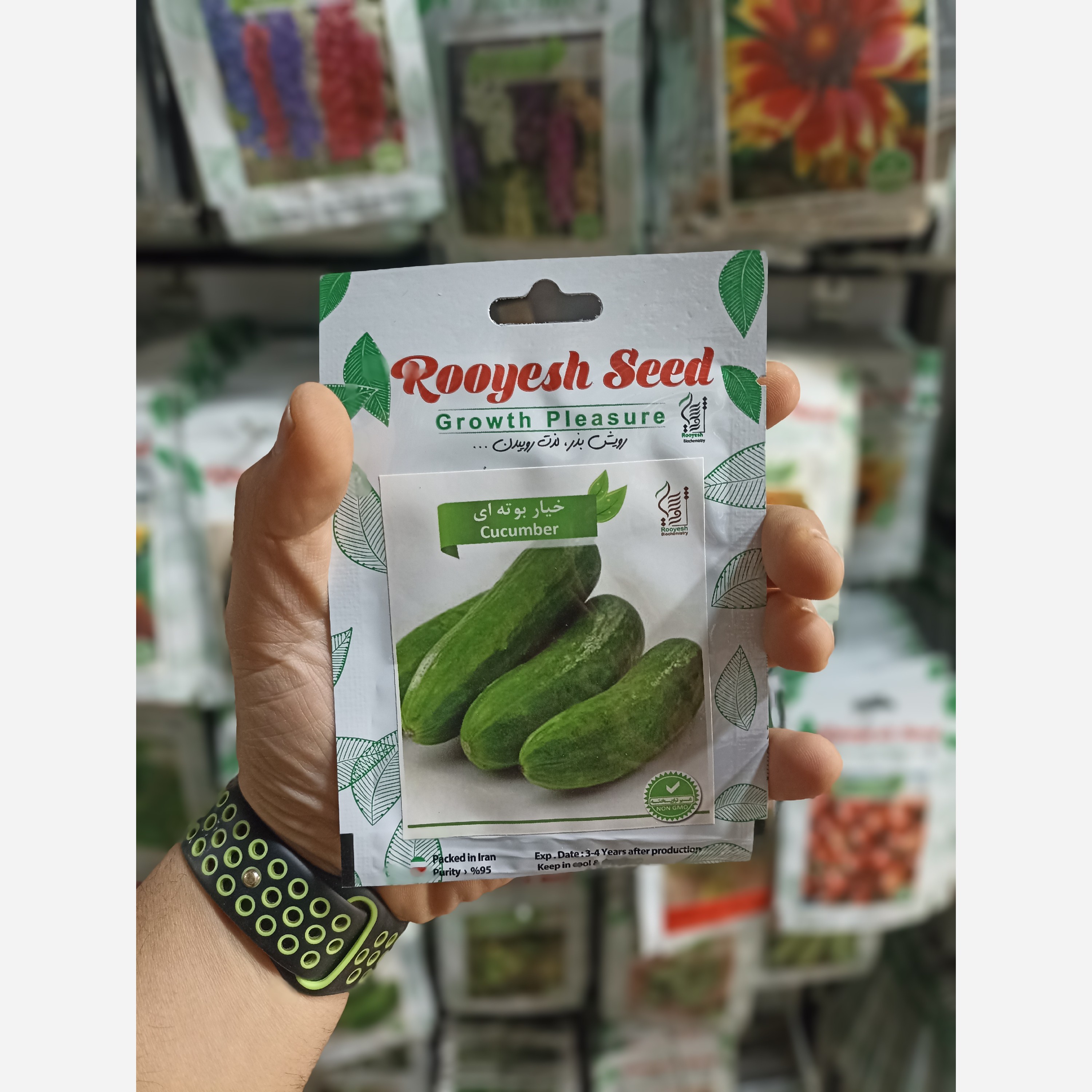 بذر خیار بوته ای باقوه نامیه 90 درصد