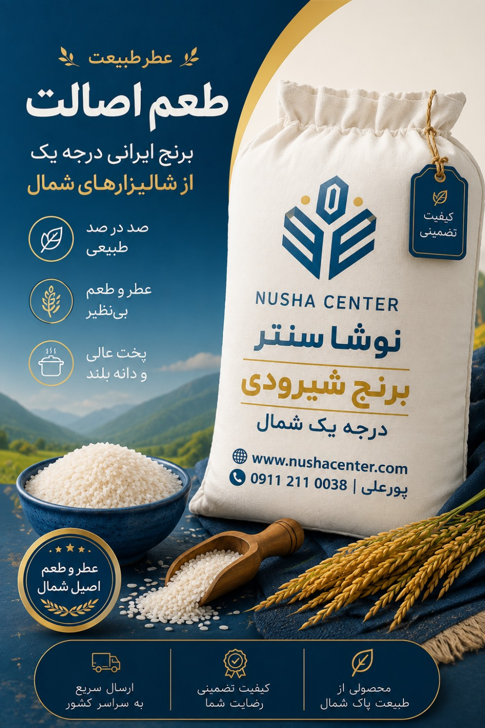 برنج شیرودی مازندران