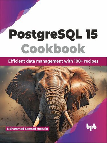 خرید و دانلود نسخه کامل کتاب PostgreSQL 15 Cookbook: Efficient data management with 100+ recipes فایل مجازی و دانلودی