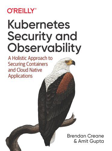 خرید و دانلود نسخه کامل کتاب Kubernetes Security and Observability: A Holistic Approach to Securing Containers and Cloud