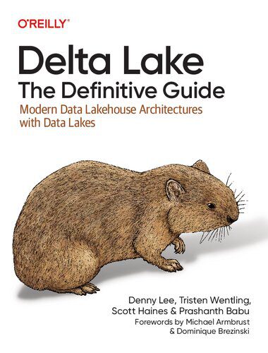 خرید و دانلود نسخه کامل کتاب Delta Lake: The Definitive Guide: Modern Data Lakehouse Architectures with Data Lakes فایل