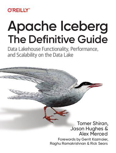 خرید و دانلود نسخه کامل کتاب Apache Iceberg: The Definitive Guide: Data Lakehouse Functionality  Performance  and Scalab