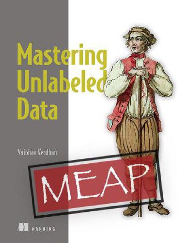 خرید و دانلود نسخه کامل کتاب Mastering Unlabeled Data – MEAP V06