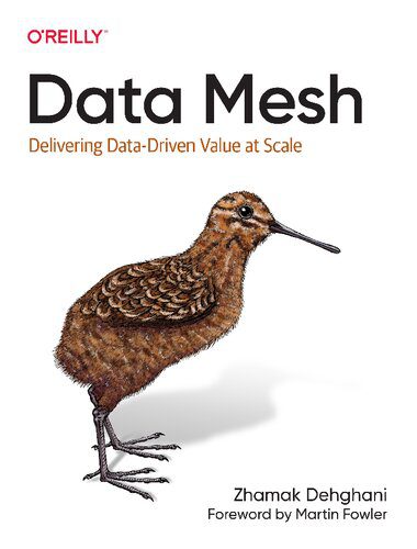 خرید و دانلود نسخه کامل کتاب Data Mesh: Delivering Data-Driven Value at Scale فایل مجازی و دانلودی