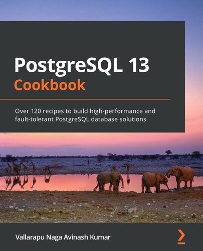 خرید و دانلود نسخه کامل کتاب PostgreSQL 13 Cookbook: Over 120 recipes to build high-performance and fault-tolerant Postg
