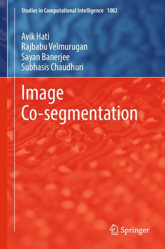 خرید و دانلود نسخه کامل کتاب Image Co-segmentation فایل مجازی و دانلودی
