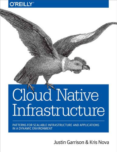 خرید و دانلود نسخه کامل کتاب Cloud Native Infrastructure: Patterns for Scalable Infrastructure and Applications in a Dyn
