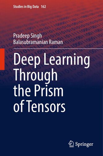 خرید و دانلود نسخه کامل کتاب Deep Learning Through the Prism of Tensors فایل مجازی و دانلودی