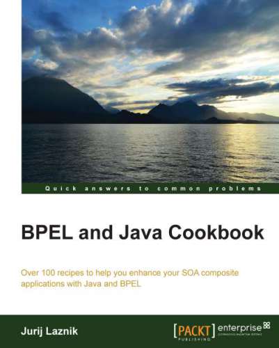 خرید و دانلود نسخه کامل کتاب BPEL and Java Cookbook: Over 100 recipes to help you enhance your SOA composite application