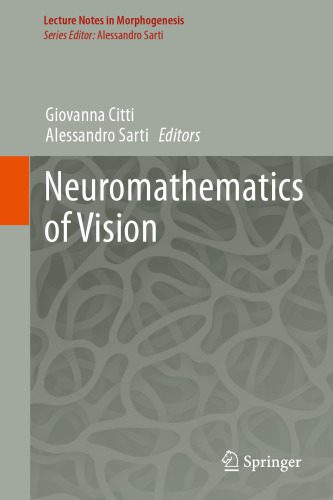خرید و دانلود نسخه کامل کتاب Neuromathematics of Vision فایل مجازی و دانلودی