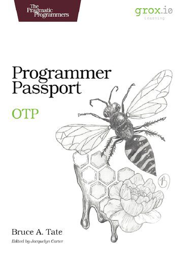 خرید و دانلود نسخه کامل کتاب Programmer Passport: OTP فایل مجازی و دانلودی