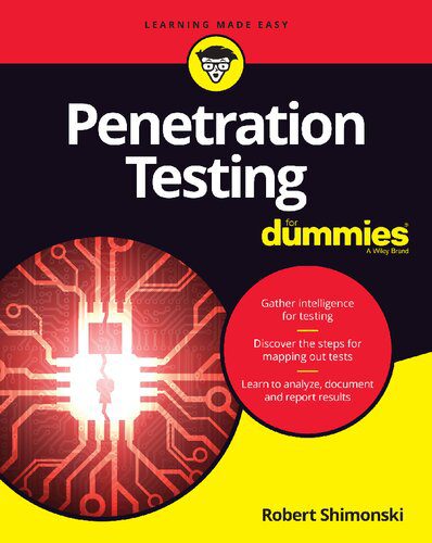 خرید و دانلود نسخه کامل کتاب Penetration Testing For Dummies فایل مجازی و دانلودی