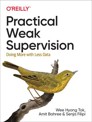 خرید و دانلود نسخه کامل کتاب Practical Weak Supervision: Doing More with Less Data فایل مجازی و دانلودی