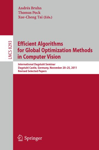 خرید و دانلود نسخه کامل کتاب Efficient Algorithms for Global Optimization Methods in Computer Vision: International Dags