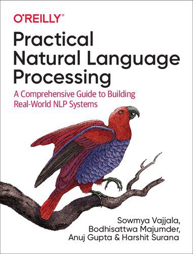 خرید و دانلود نسخه کامل کتاب Practical Natural Language Processing: A Comprehensive Guide to Building Real-World NLP Sys