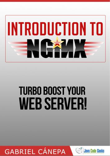 خرید و دانلود نسخه کامل کتاب Introduction to Nginx فایل مجازی و دانلودی