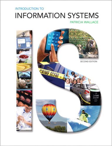 خرید و دانلود نسخه کامل کتاب Introduction to Information Systems فایل مجازی و دانلودی