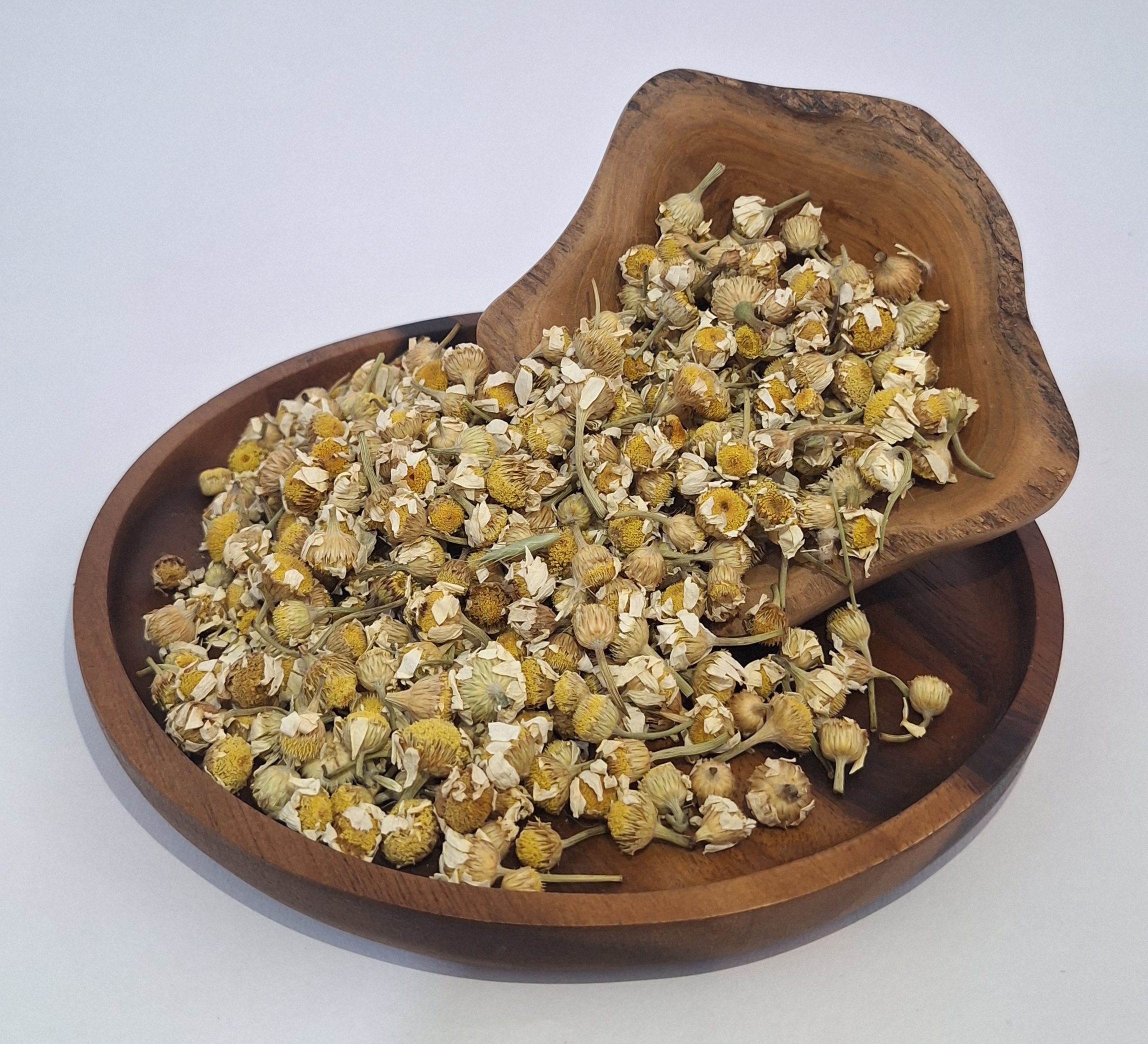 بابونه چشم گاوی