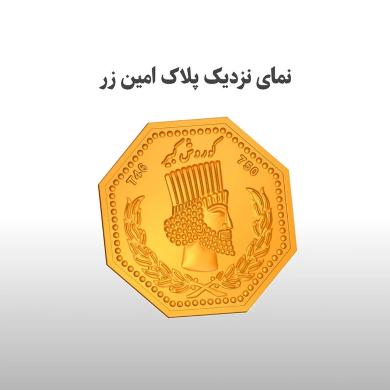 اقساطی سکه گرمی طلا 18 عیار امین زر کد GL.2000