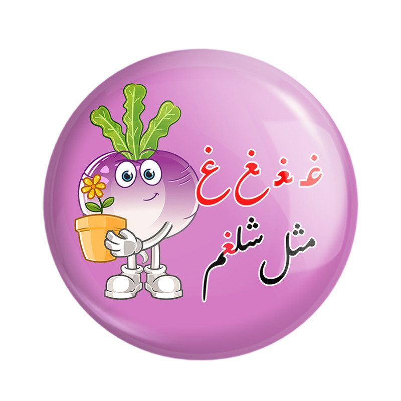 مگنت خندالو مدل جشن الفبای کلاس اول غ غ مثل شلغم کد 8817 مجموعه 49 عددی – با بهترین کیفیت