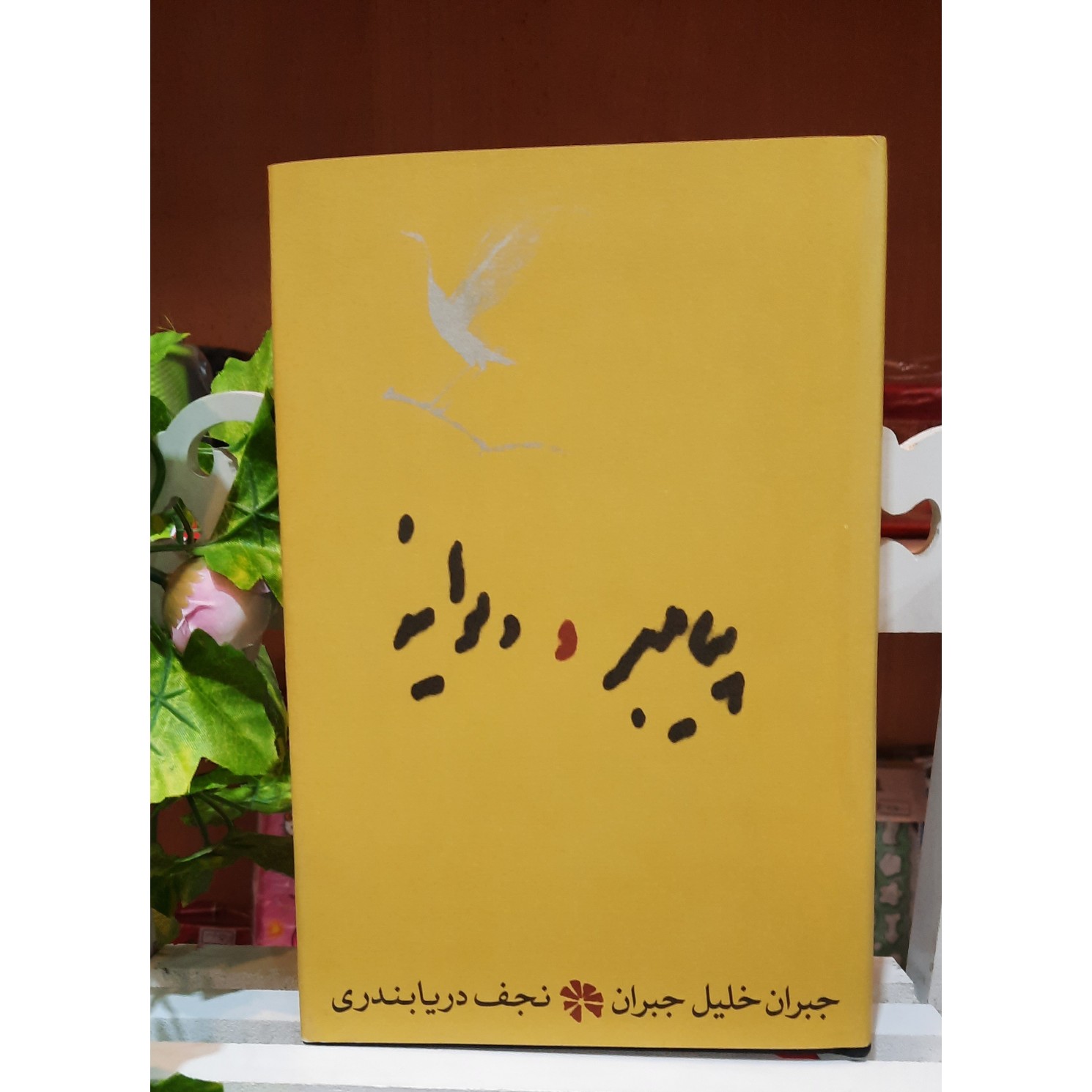 پیامبر و دیوانه