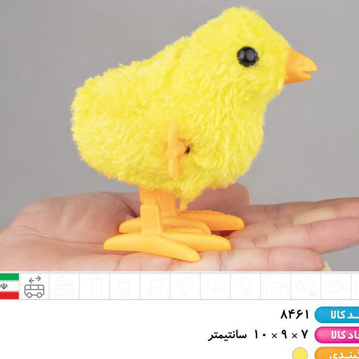 جوجه کوکی کوچک