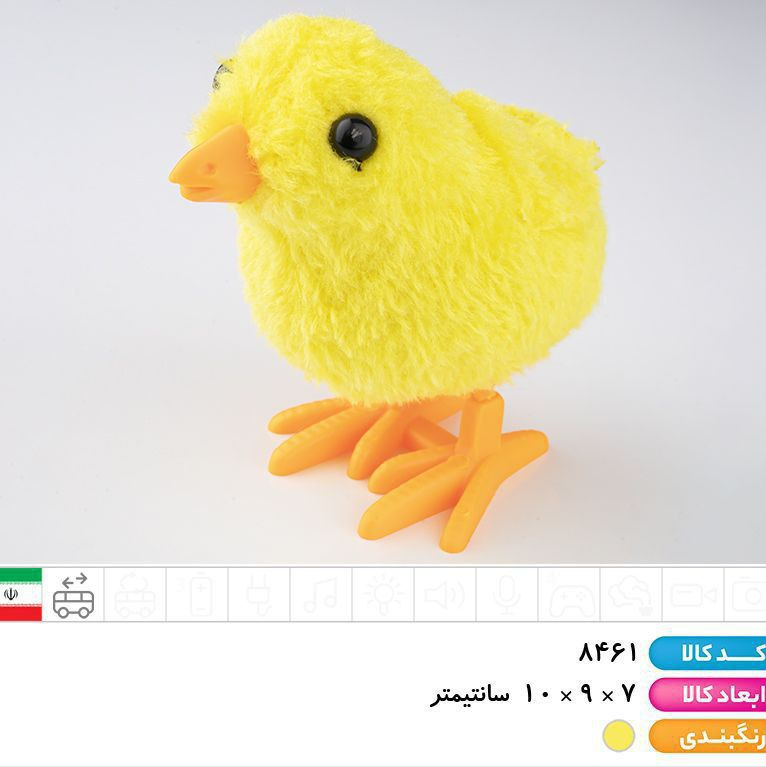 جوجه کوکی کوچک