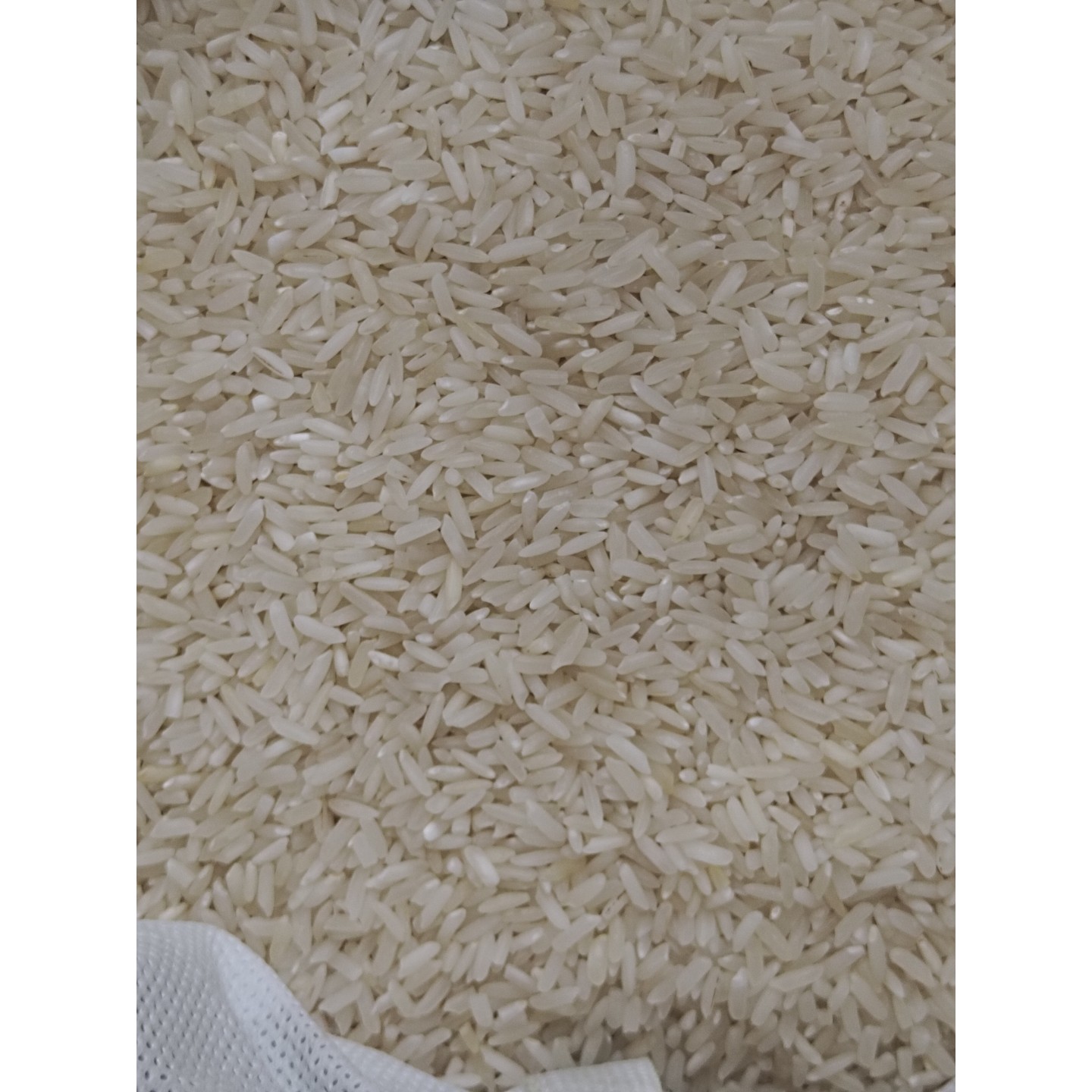 برنج پاکستانی تاملی کیسه 10 کیلویی