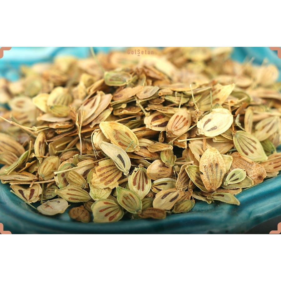 بذر گلپر