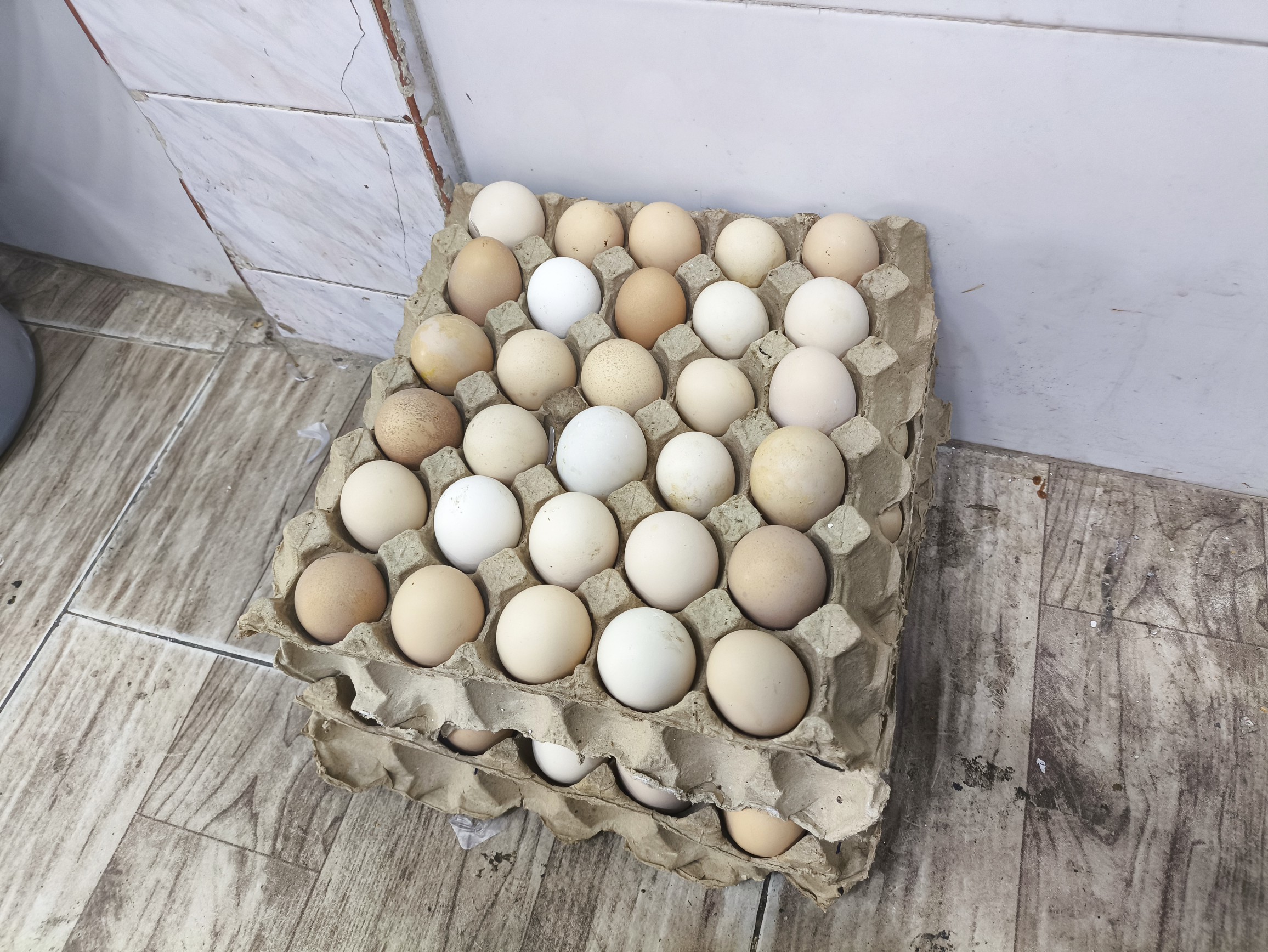 تخم مرغ تازه محلی 