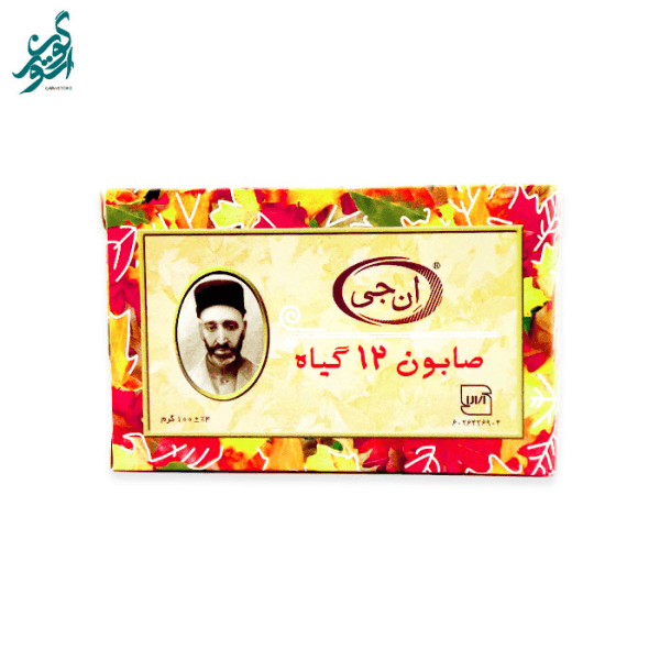 صابون 12 گیاه موی سر مدل NG Herb وزن 100 گرم