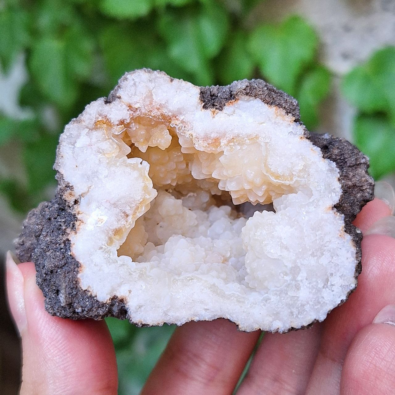 ژئود کلسدونی عسلی
