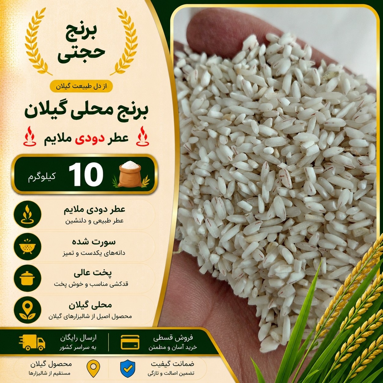 برنج محلی گیلان با عطر بسیار ملایم دودی (10 کیلو) ارسال رایگان