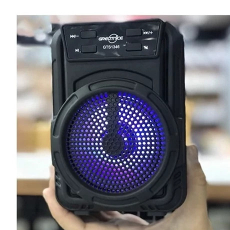 اسپیکر گریت نایس مدل GTS 1360
