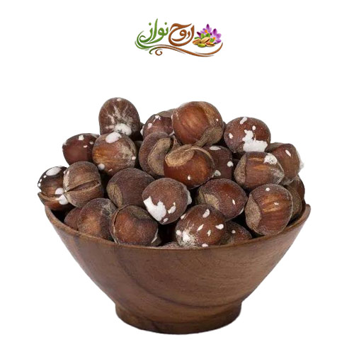 فندق با پوست نمکی ایرانی