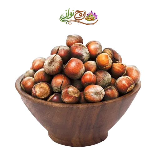 فندق با پوست شور ایرانی