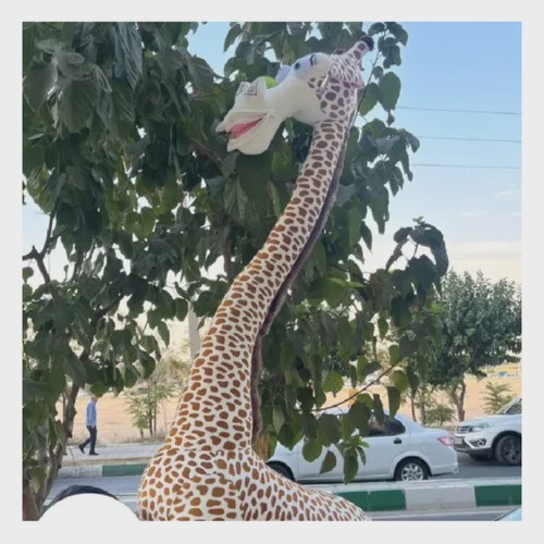عروسک زرافه ماداگاسکار (اورجینال) ارتفاع 120 سانتی متر