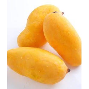 نهال انبه قیاسی