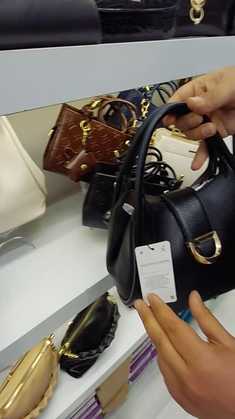 کیف دستی زنانه چرمی برند آلفا مدل گوشواره