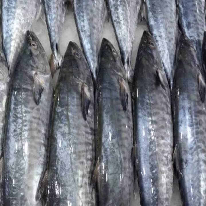 میوه های تابستانی همراه با شیرماهی