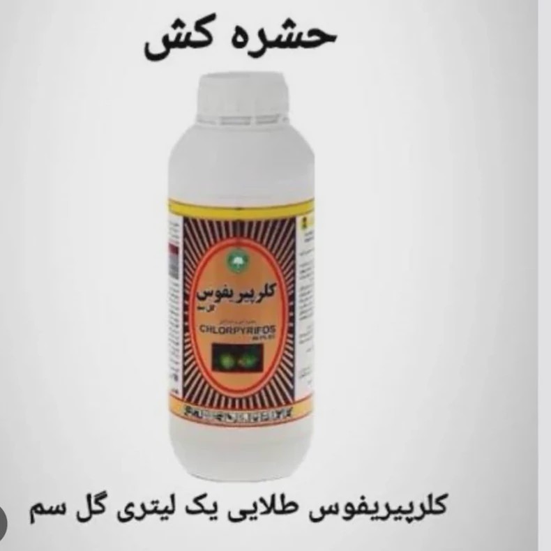 سم حشره کش کلر پیر یفوس قدرتمند