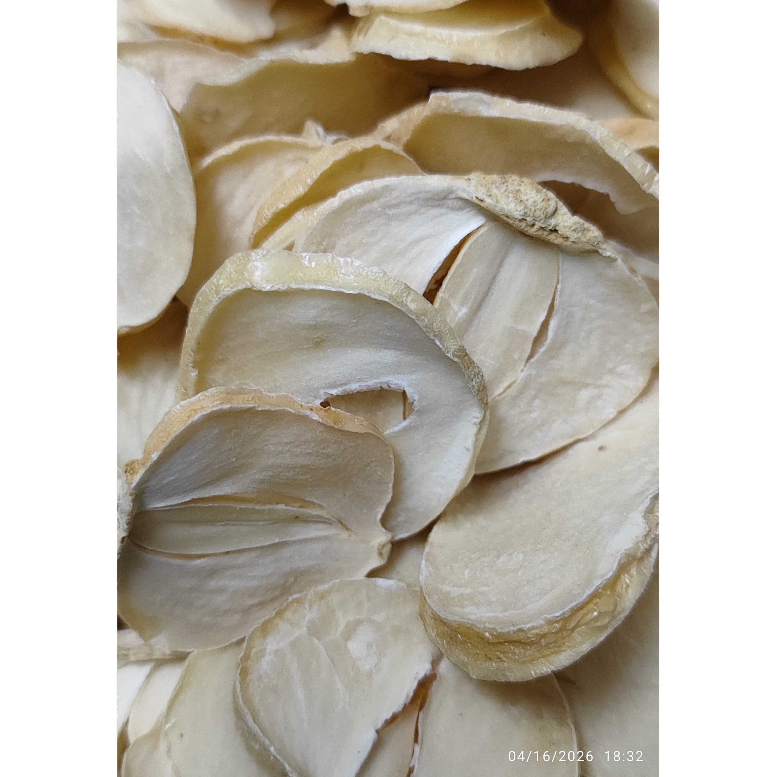 موسیر کوهی خشک پلاکی درجه یک