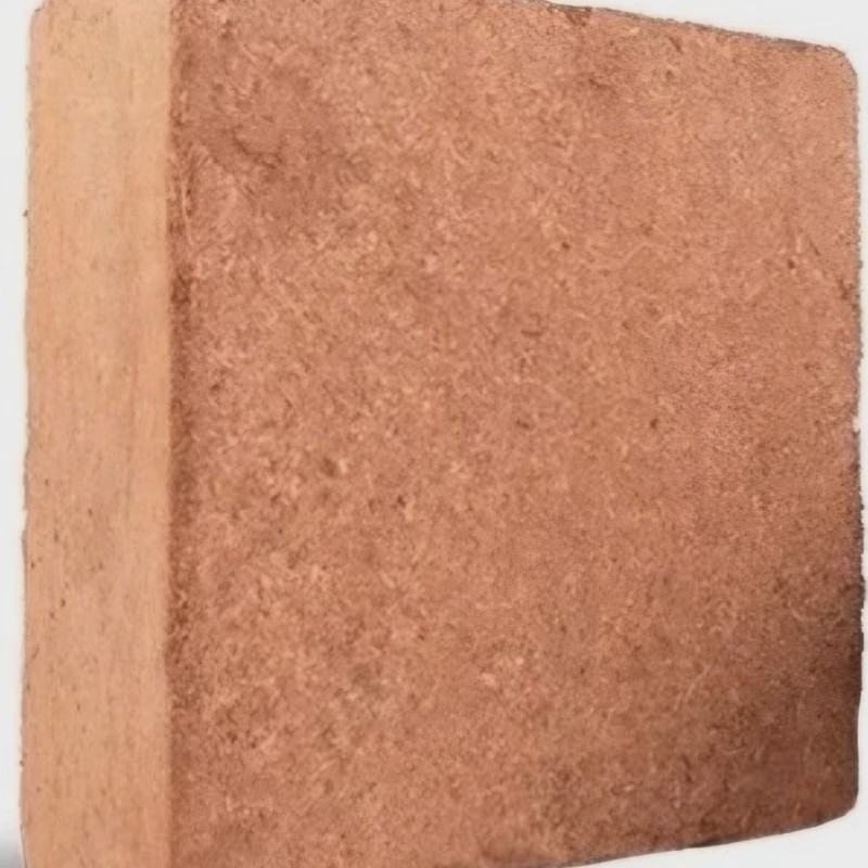 کوکوپیت قالبی هندی
